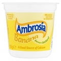 Ambrosia Custard Banana150g